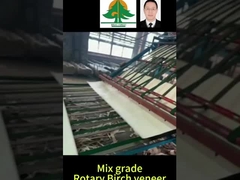 रोटरी बर्च फ़नीर का पूरा आकार मोटाई 0.5 मिमी मिश्रण ग्रेड के लिए आकार 2600*1300 मिमी