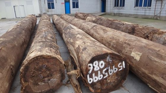 लेमिनेटेड सैंटोस रोजवुड वुड वैनर क्राउन अनाज मोटाई अनुकूलित किया जा सकता है 0.15-1.8 मिमी के लिए के लिए कैबिनेट चेहरा SZ-254C / 1010C / 1325C