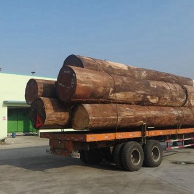 पुनर्गठित समग्र आबनूस लकड़ी लिबास X812 सीधे कट लाइट रंग के लिए अनुकूलित सेवा दरवाजे के लिए वापस आ गई