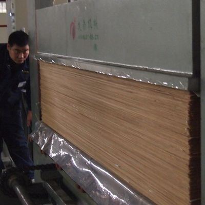 0.45 मिमी इंजीनियर वुड फनीर शीट ऑफ ब्लैक पर्ल बीपी-एक्स8003 दीवार पैनल चेहरे के लिए सीधे अनाज