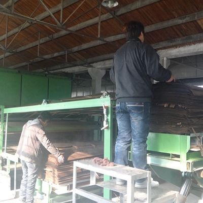 फैंसी ब्लैक पर्ल वुड विनियर BP-X2003 (N) नया डिज़ाइन 3100mm लंबाई वुड डोर स्किन के लिए