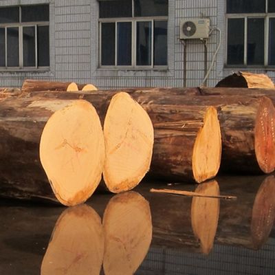 फर्नीचर काले खुबानी इंजीनियर लकड़ी लिबास H314C फ्लैट कट क्राउन अनाज 2500-3100 मिमी