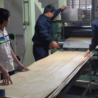 सीधी अनाज लकड़ी फनीर सफेद ओक 1430S दरवाजे के लिए 0.15-0.6 मिमी