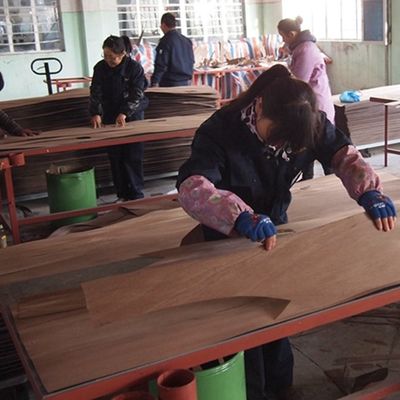 ग्रे विंग इंजीनियर वुड फनीर 3100 मिमी डोर पैनलों के लिए GW-X0133