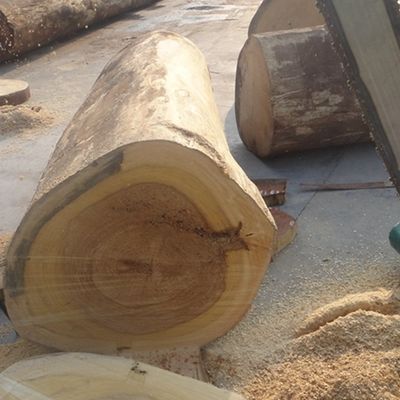 Ev Veneer Arrow X2033 स्लाइस कट तकनीक सीधे अनाज ग्रे रंग आंतरिक सजावट के लिए