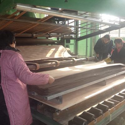 फैंसी प्लाईवुड के लिए प्राकृतिक अखरोट की लकड़ी का लिबास फ्लैट कट रंगीन अनाज जोड़ 640/1280 मिमी चौड़ाई तक