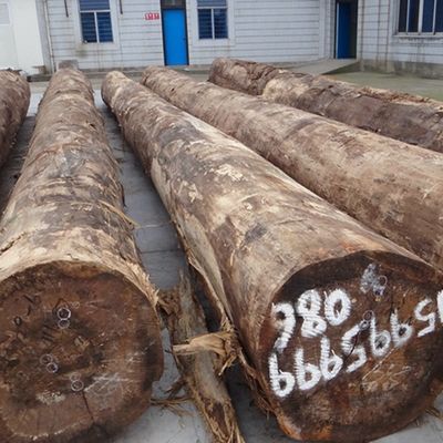 चांदी के पक्षी के मुर्गा का इंजीनियर लकड़ी का वैनर SBB-X0033 मोटाई 0.15-0.6 मिमी शिपिंग और नौका के लिए