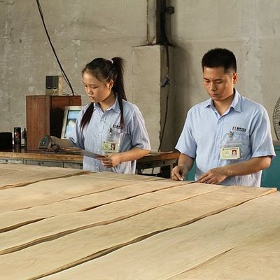 फर्नीचर और संगीत वाद्ययंत्र के लिए अमेरिकी प्राकृतिक मेपल लकड़ी लिबास बर्डसे मेपल मोटाई 0.5 मिमी अच्छी गुणवत्ता