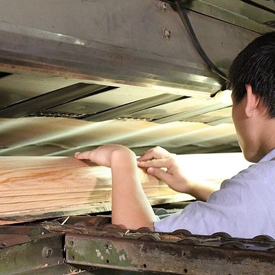 स्पेस में लालित्य जोड़ें मेपल फ़नीर पैनल फ्लोक्लुलेंस छाया बनावट अभिव्यक्ति