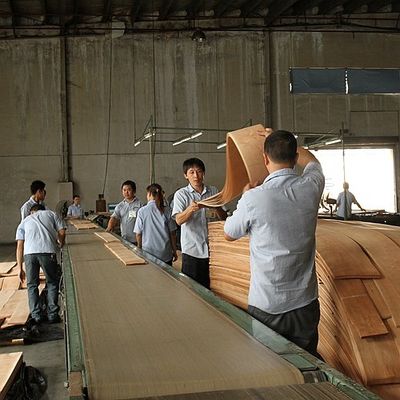 स्पेस में लालित्य जोड़ें मेपल फ़नीर पैनल फ्लोक्लुलेंस छाया बनावट अभिव्यक्ति