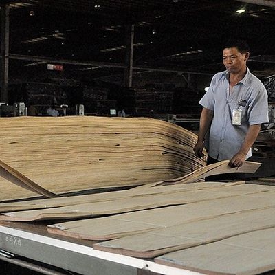 डोर स्किन अमेरिकन नेचुरल चेरी वुड वेनीर क्वार्टर कट स्ट्रेट ग्रेन