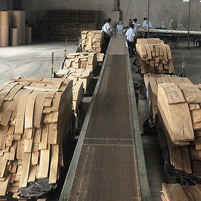 ठोस लकड़ी अमेरिकी एल्म शीट्स ग्रेड ए क्वार्टर कट क्राउन अनाज के लिए प्राकृतिक रंग के लिए दरवाजा चेहरा 3200 मिमी ऊपर