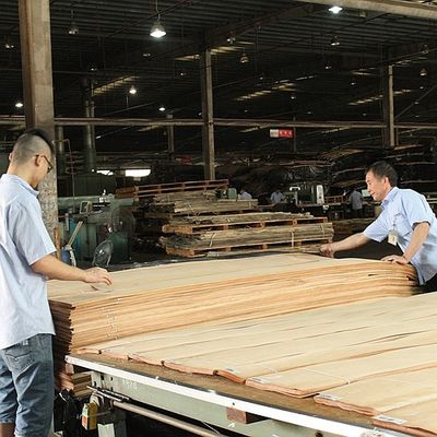 क्राउन कट ग्रेन Aaa ग्रेड 0.5mm रेड ओक वुड विनियर फ़र्नीचर फेस और डोर के लिए