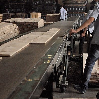 कैबिनेट/दरवाजा कंट्रास्ट ब्लैक लाइन क्राउन ग्रेन प्राकृतिक सागौन लकड़ी लिबास 0.15-0.55 मिमी