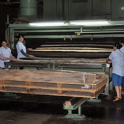 वास्तविक लकड़ी का फनीर बासवुड स्लाइस कट फॉर साइज 13 सेमी अप फ्लैट कट राइट फॉर कैबिनेट फेस शीट