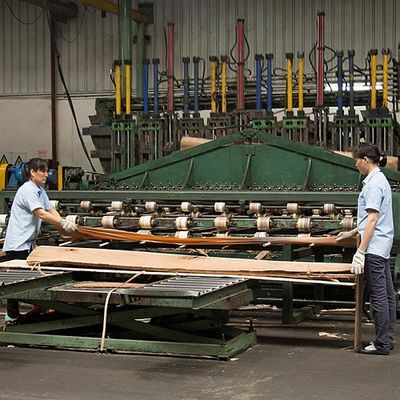 संगीत वाद्ययंत्र अफ्रीका एनेग्रे फिगर वुड विनियर फिडल बैक ग्रेन 0.5 मिमी
