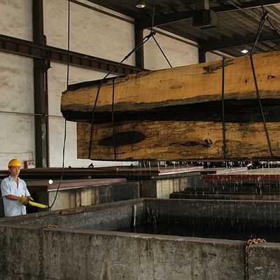 संगीत वाद्ययंत्र अफ्रीका एनेग्रे फिगर वुड विनियर फिडल बैक ग्रेन 0.5 मिमी