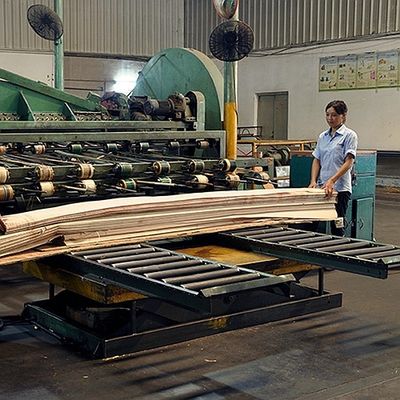 रंगाई प्रक्रिया के लिए अफ्रीका प्राकृतिक Koto लकड़ी लिबास क्वार्टर कट सीधे अनाज अच्छी गुणवत्ता अनुकूलित किया जा सकता है