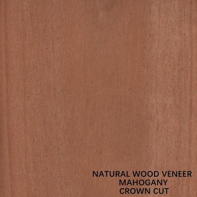 फर्नीचर और संगीत वाद्ययंत्र प्राकृतिक महोगनी लकड़ी लिबास फ्लैट कट क्राउन कट