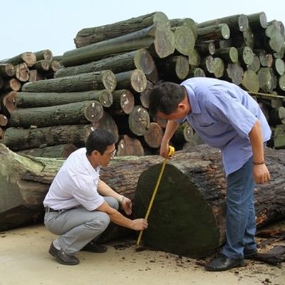 अनुकूलित पुनर्मूल्यांकन लकड़ी का फनीर रंगीन बादल X2391 अनियमित बनावट 2500*640 सामान्य आकार सजावट के लिए