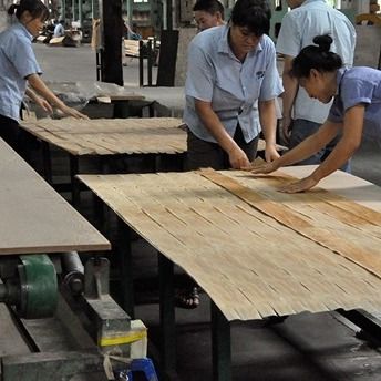 High Quality 3D Techwood Veneer 3DZM-L6.0 | Fire Retardant B1 & FSC Certified, Custom Sizes Available