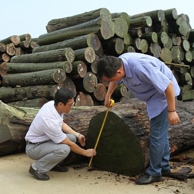 कृत्रिम देवदार की लकड़ी के लिबास का नया डिज़ाइन FCW-L146N/L246C स्लाइस कट तकनीकें 2*8 इंच कैबिनेट फेस के लिए