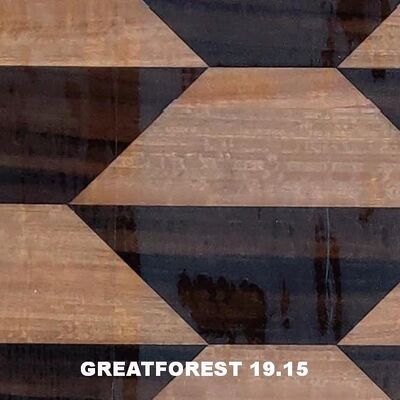 कलात्मक पार्केट लकड़ी लिबास ज्यामितीय सौंदर्य भावना लोकप्रिय ज्यामितीय आंकड़े 0.50 मिमी मोटाई लकड़ी के दरवाजे के लिए