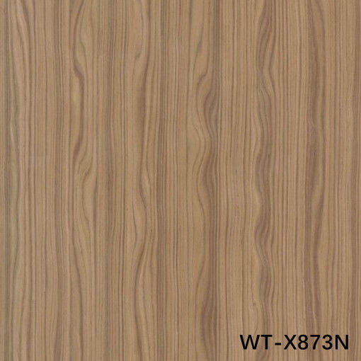 हाई-एंड रिकॉन वुड फनीर प्राकृतिक अखरोट Wt-X873n 2850 मिमी लंबाई के लिए दरवाजा सजावट शीट चीन फैक्टरी